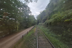 2024-09-WIKING-Modelle-Saure-Auktion-100-in-Luedenscheid-10