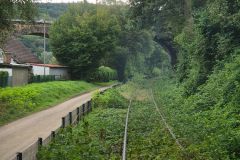 2024-09-WIKING-Modelle-Saure-Auktion-100-in-Luedenscheid-13