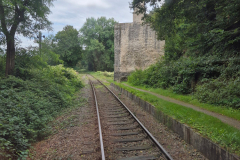 2024-09-WIKING-Modelle-Saure-Auktion-100-in-Luedenscheid-18