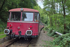 2024-09-WIKING-Modelle-Saure-Auktion-100-in-Luedenscheid-23