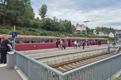 2024-09-WIKING-Modelle-Saure-Auktion-100-in-Luedenscheid-4