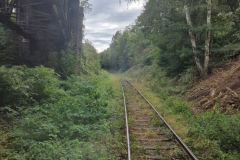 2024-09-WIKING-Modelle-Saure-Auktion-100-in-Luedenscheid-6
