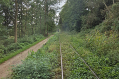 2024-09-WIKING-Modelle-Saure-Auktion-100-in-Luedenscheid-7